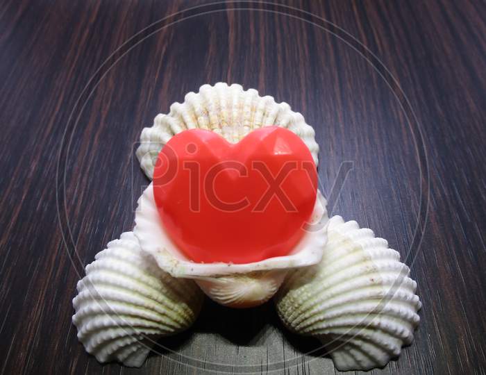 Snail shell close-up picture,valentine gift with love
