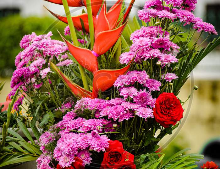 Bouquet of colourful flowers
