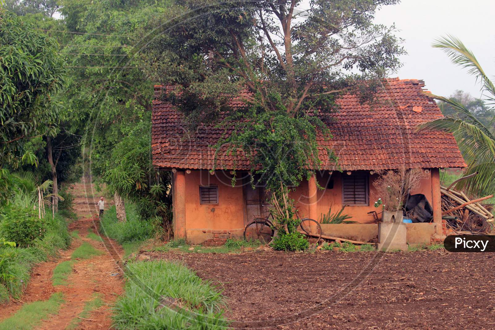 The house in the farm