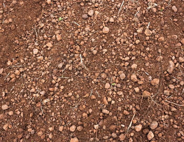 Indian Soil Closeup