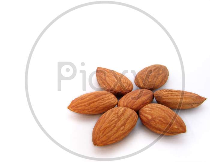 Almonds In Flower Pattern
