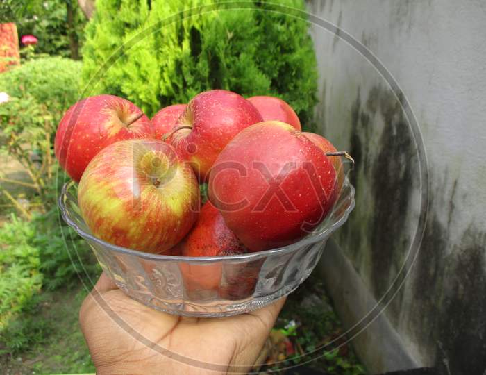 Small basket full off Apple in hand