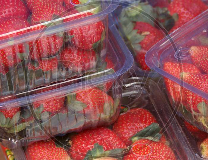 Strawberry Boxes For Sell