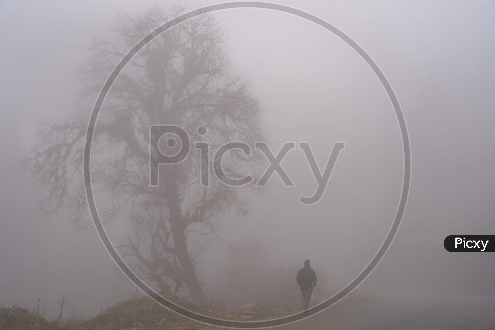 Walking Man On A Misty Morning.