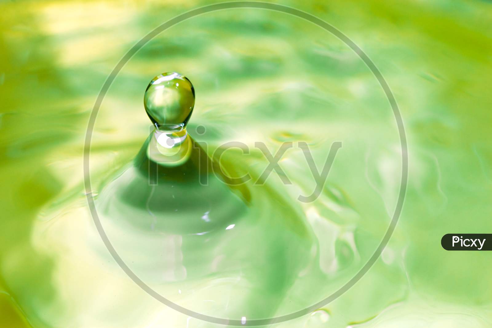 Pure Green Water Drop Bouncing Background.