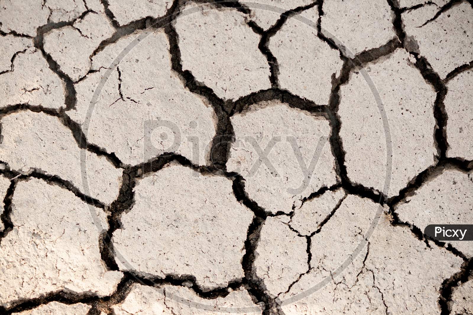 Dried Land With Cracks.