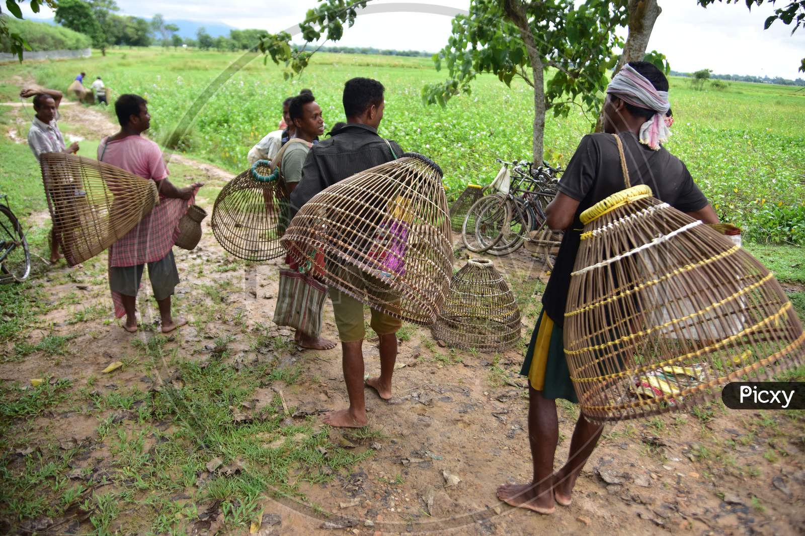 Nagaon:Villagers Arrives With Their Fishing Tool To  Catch Fish At A Field At Kampur In Nagaon District Of Assam On Sept 27,2020.