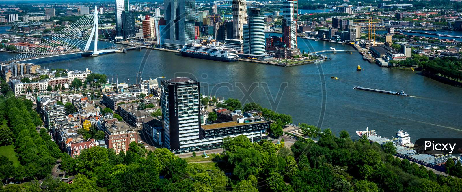 Netherlands, Rotterdam, The Cityscape And Skyline Of Rotterdam With Erasmus Bridge
