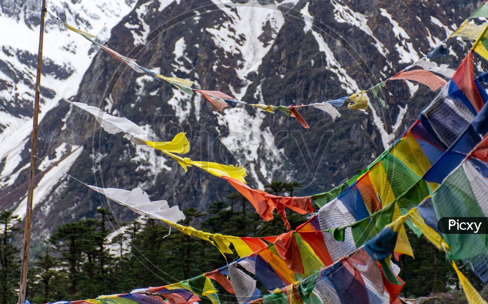 Buddhist prayer flags in Eastern Himalaya North Sikkim India near Yumthang Valley A Beautiful landscape of mountain cover by Snow