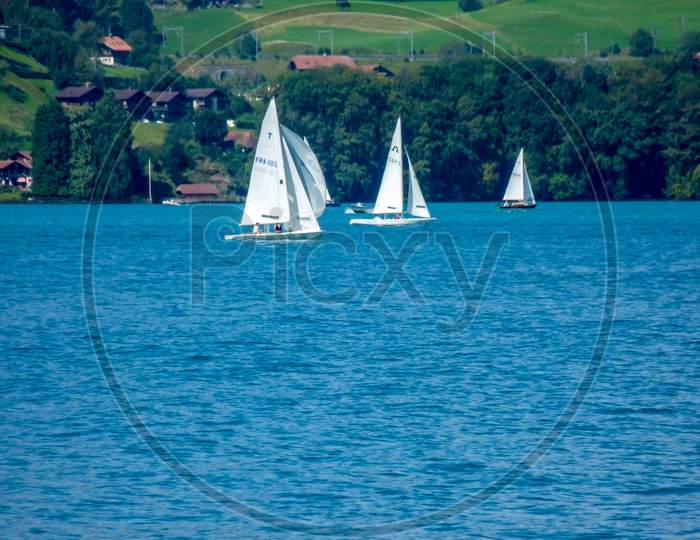 Switzerland, Lauterbrunnen, Sailboat Sailing On Sea By Trees