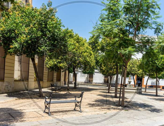 Cordoba, Spain - June 20: Empty Chairs And Table By Trees Against Sky On Streets Of Cordoba, Spain