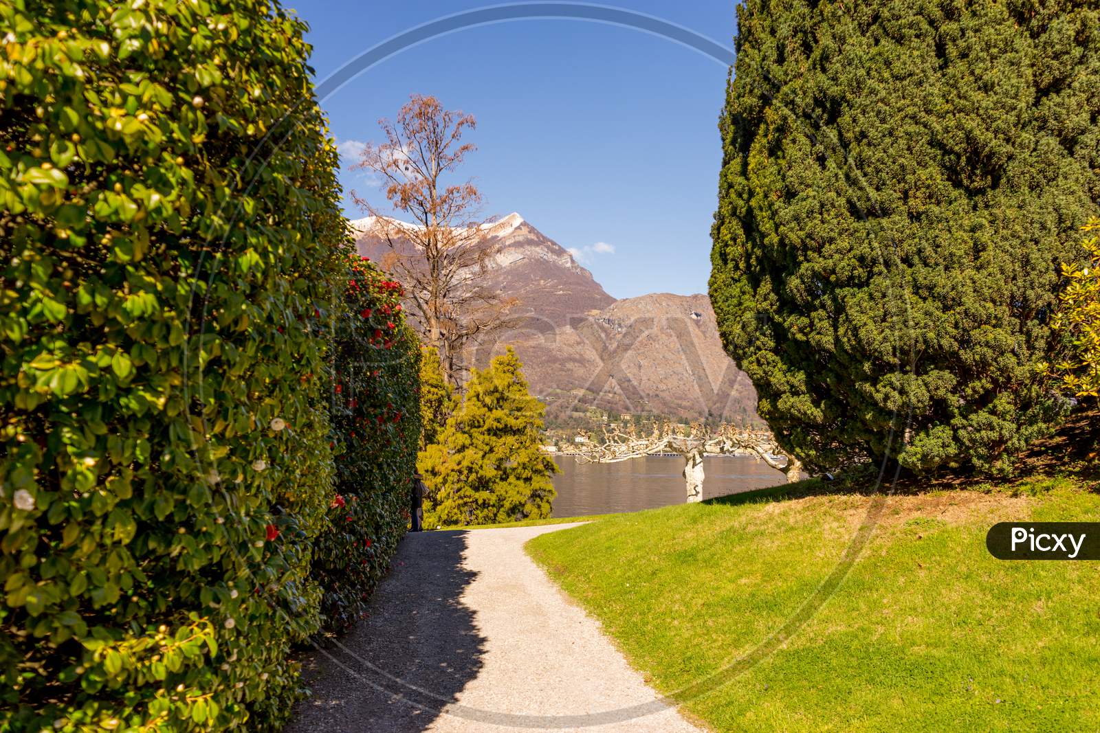 Italy, Bellagio, Lake Como, Road Amidst Trees Against Sky