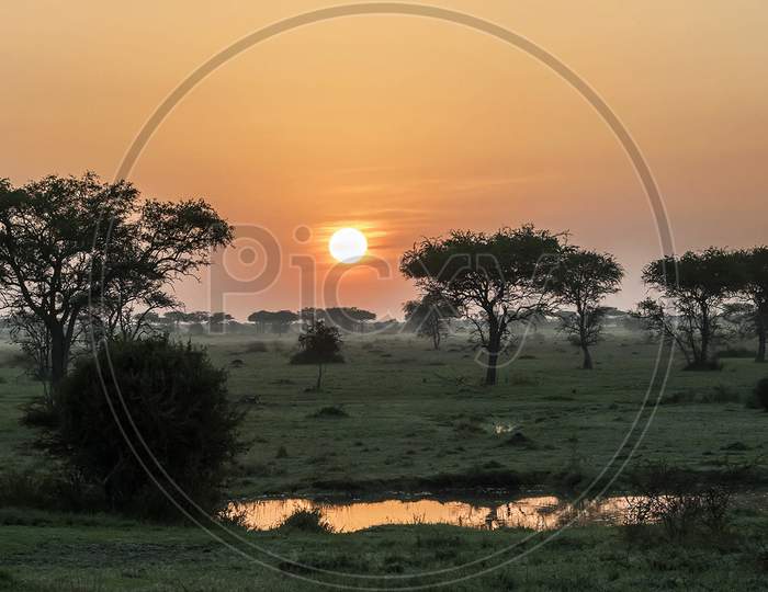 Beautiful pictures of  Tanzania