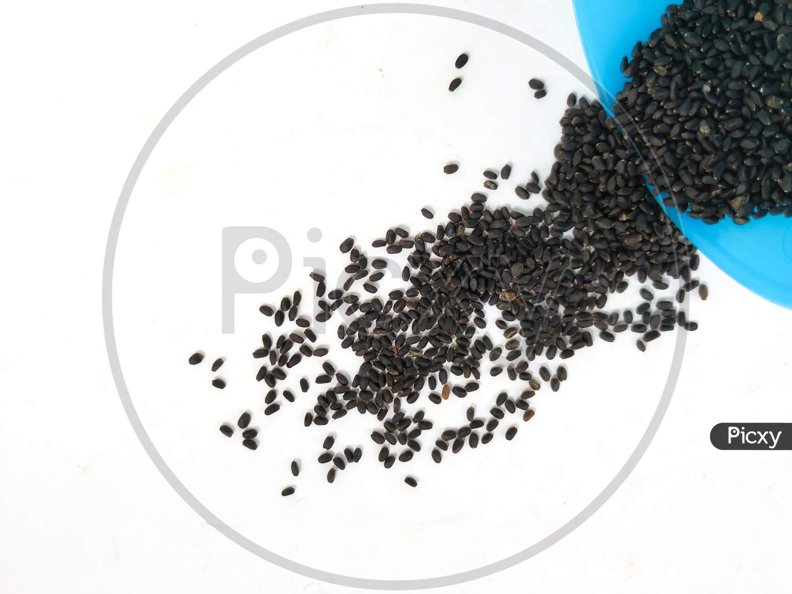 Chia Seeds or Kama Kasturi Seed Scattered from Blue Color Plastic Container isolated on White Background.