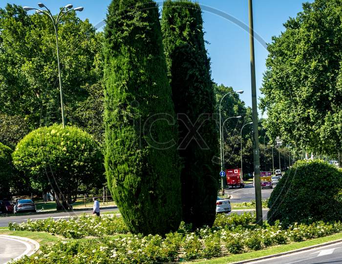Spain, Madrid, Road By Trees In City Against Sky