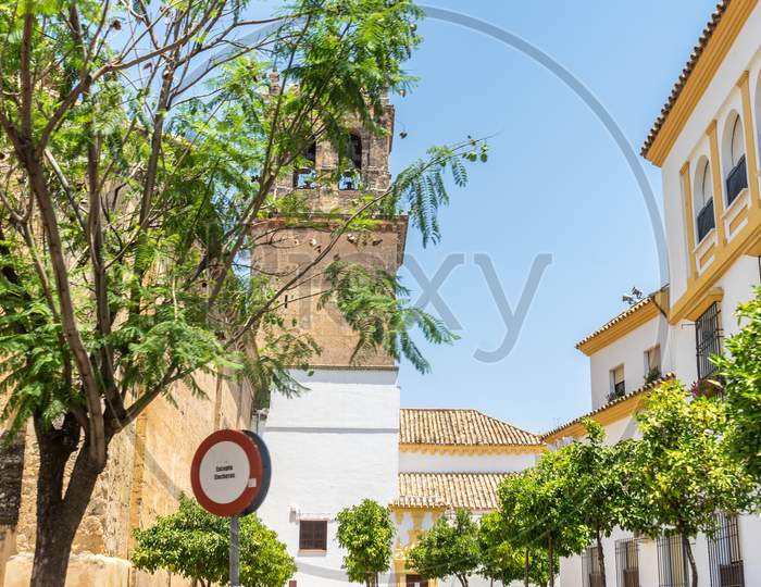 Spain, Cordoba, Plants And Trees By Building Against Clear Sky