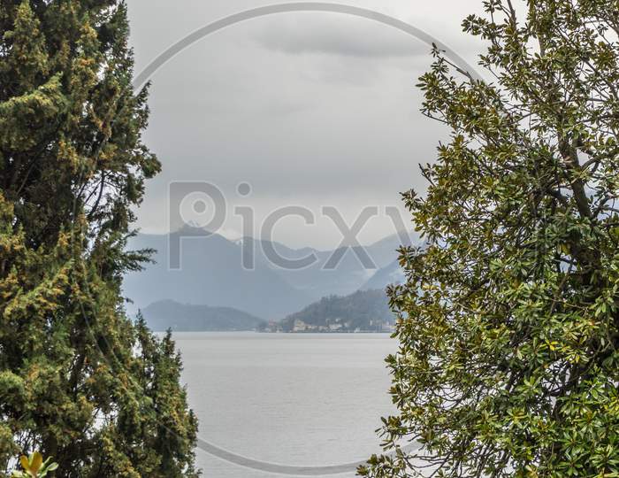 Italy, Varenna, Lake Como, A Large Tree In A Forest Overlooking A Lake