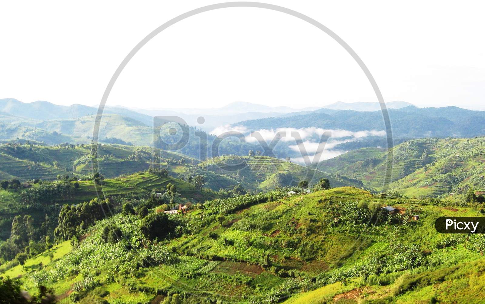 Rwanda Environment Management Authority (REMA): Rwanda calls on the world  to put nature first and agree on an ambitious Global Biodiversity Framework