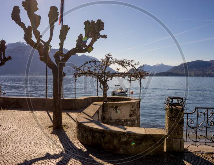 Italy, Menaggio, Lake Como, A Tree Next To A Body Of Water