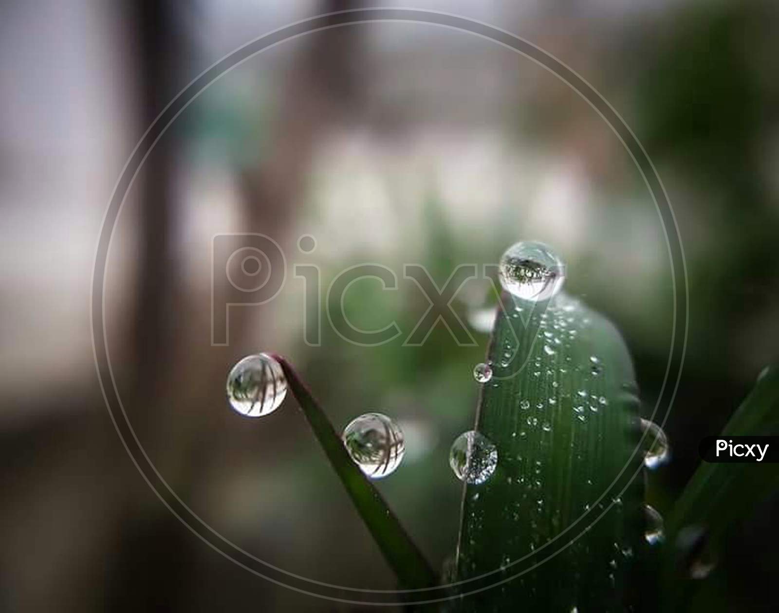 Macro water drop photo