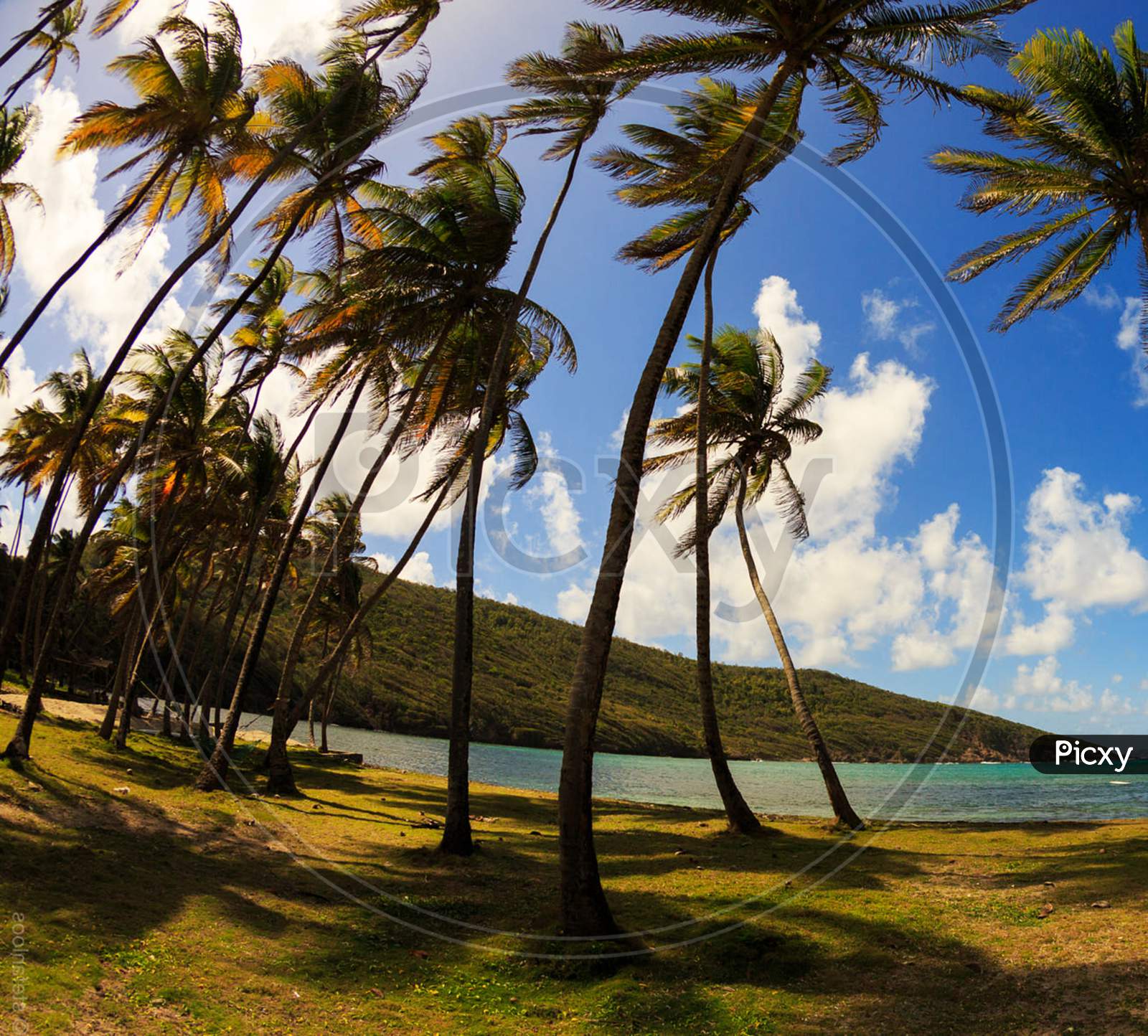 Beautiful pictures of  Saint Vincent and the Grenadines