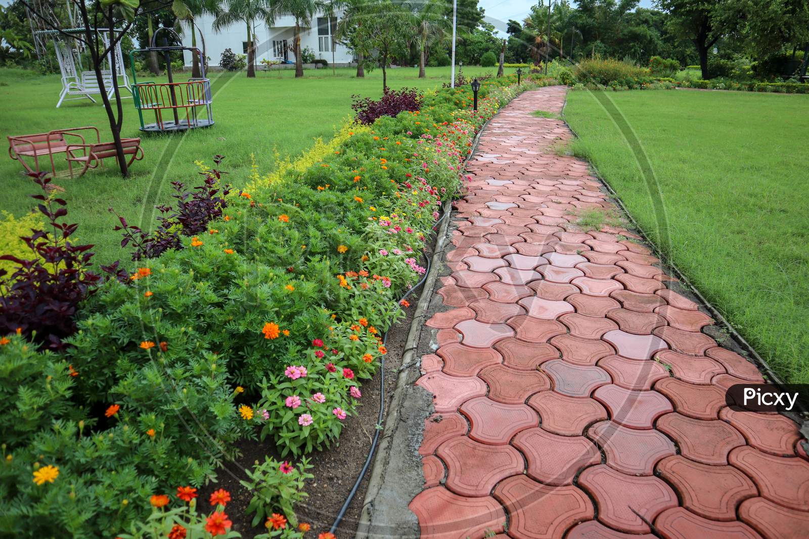 Beautiful Footpath In A Park With Colorful Flowers.