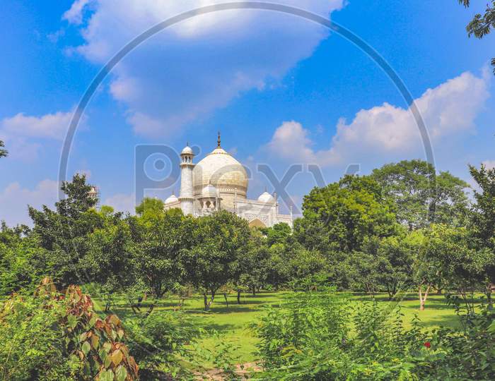 Taj Mahal  behind a beautiful garden