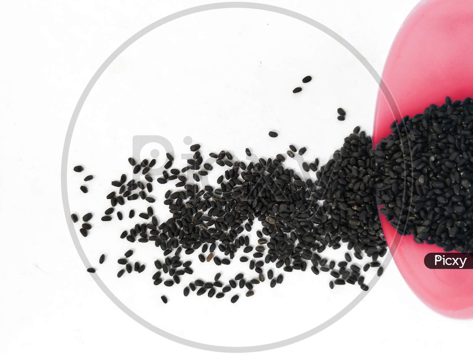 Chia Seeds or Kama Kasturi Seed Scattered from Red Color Plastic Container isolated on White Background.