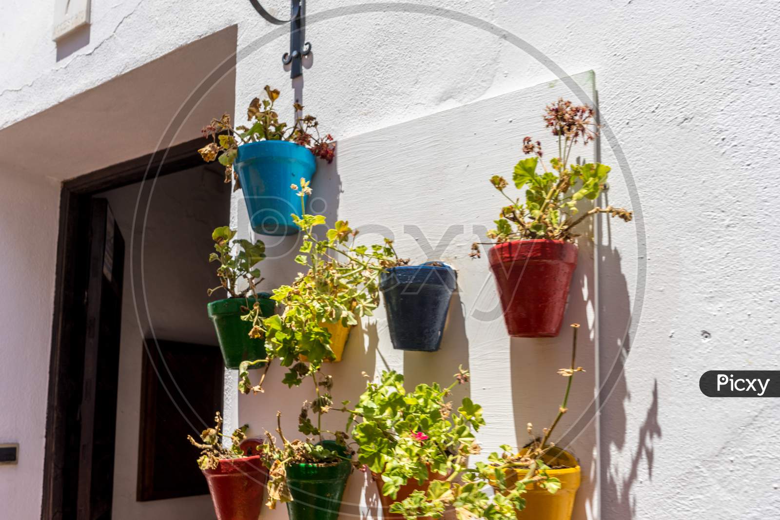 Spain, Cordoba, Potted Plants Hanging Against Wall