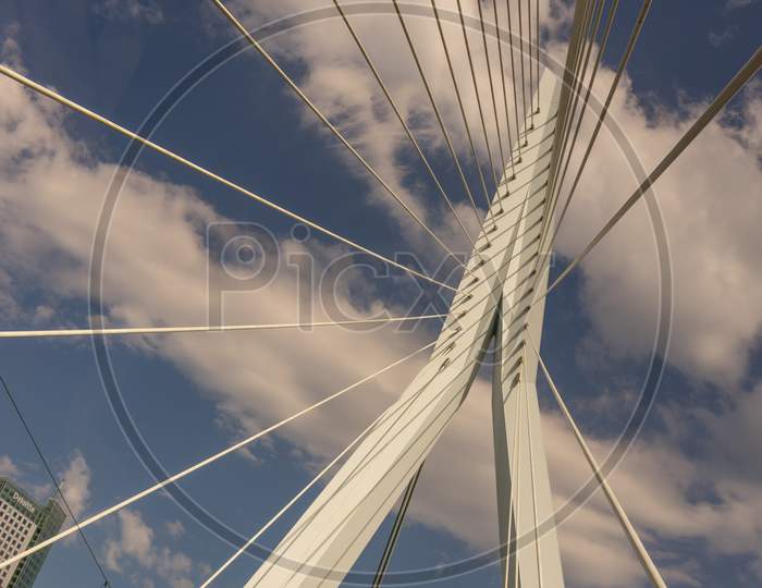 Rotterdam, Netherlands - 27 May:  Erasmus Bridge At Rotterdam On 27 May 2017. Rotterdam Is A Major Port City In The Dutch Province Of South Holland