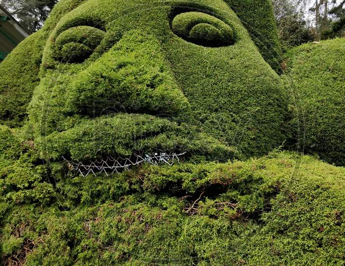 Beautiful Human Face Made From Plants.