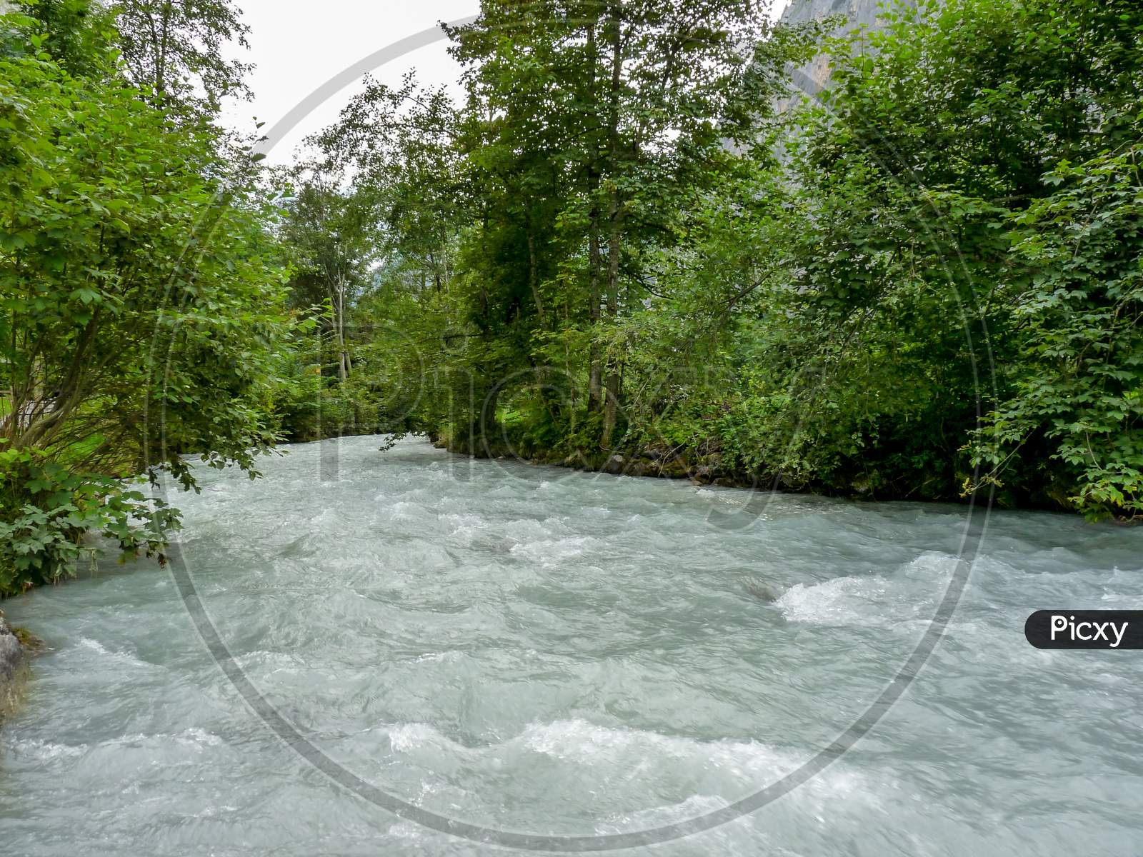 Switzerland, Lauterbrunnen, River Flowing Amidst Trees In Forest