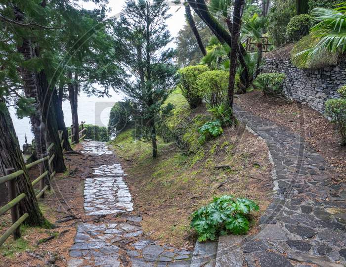 Italy, Varenna, Lake Como, Footpath Amidst Trees In Forest