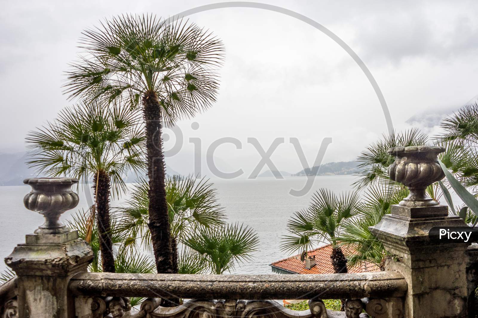 Italy, Varenna, Lake Como, A Group Of Palm Trees On The Side Of A Building