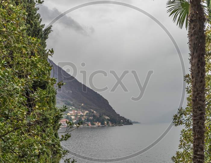 Italy, Varenna, Lake Como, A Tree Next To A Body Of Water
