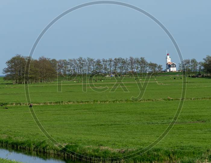 Netherlands,Wetlands,Maarken, A Person Standing On A Lush Green Field