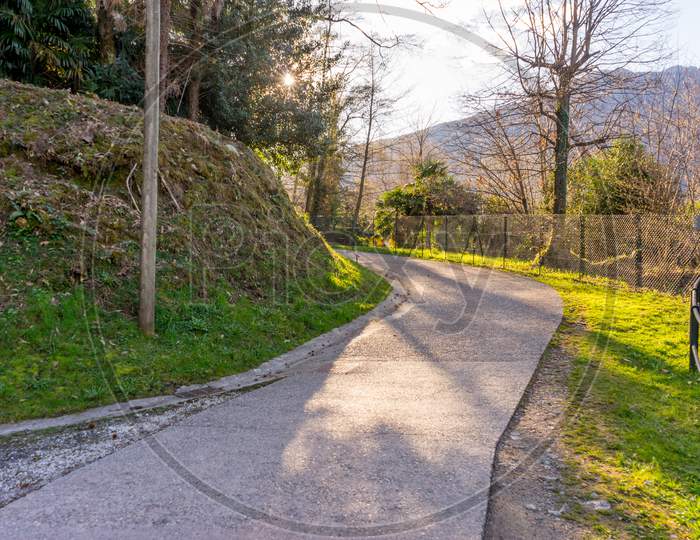 Italy, Lecco, Lake Como, A Path With Trees On The Side Of A Road
