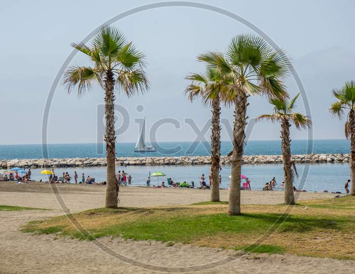 Tall Palm Trees Along The Malagueta Beach With Ocean In The Background In Malaga, Spain, Europe