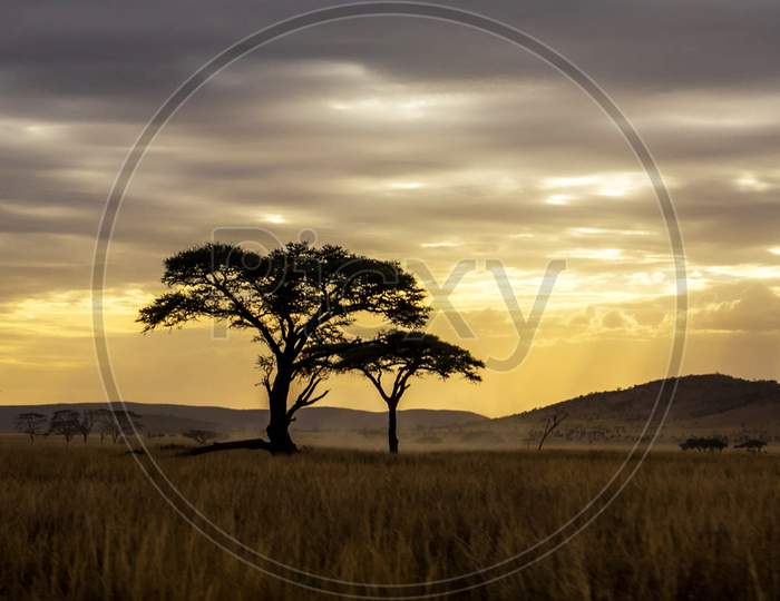 Beautiful pictures of  Tanzania