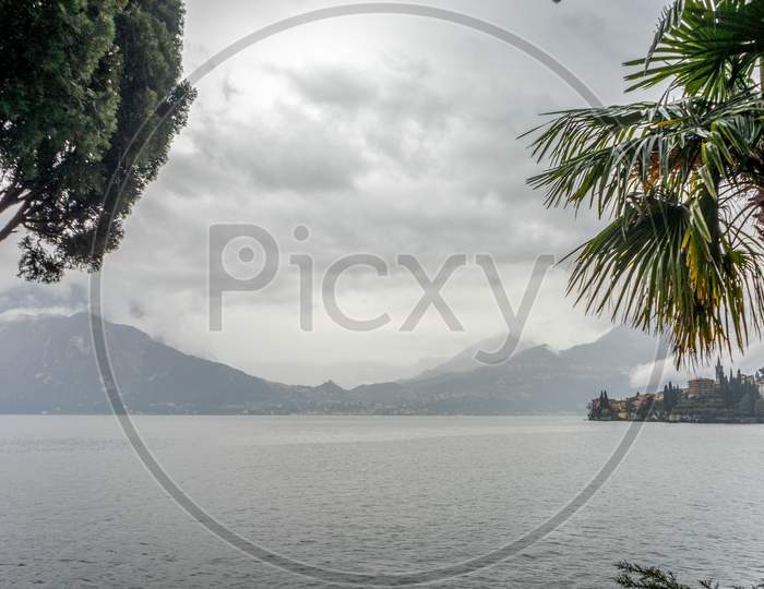 Italy, Varenna, Lake Como, A Tree Next To A Body Of Water Surrounded By Palm Trees
