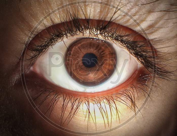 Macro Photo Of my sister's eye
