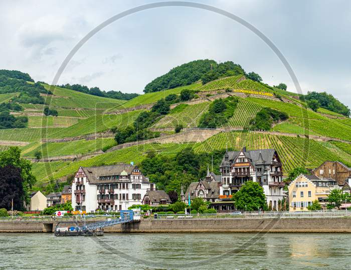 Frankfurt, Germany - 27Th May 2018:Assmannshausen Terrace Farm On The Rhine River