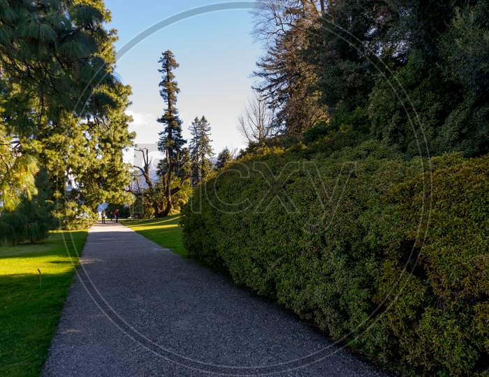 Italy, Bellagio, Lake Como, A Path With Grass And Trees