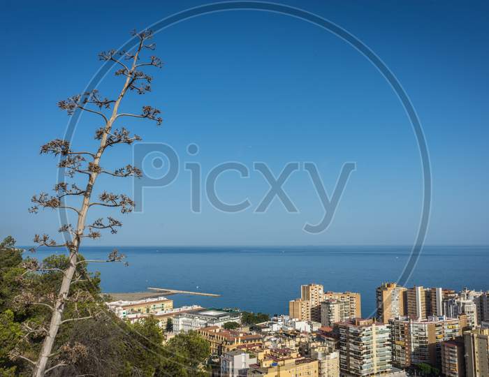 City Skyline Of Malaga Overlooking The Sea Ocean In Malaga, Spain, Europe On A Bright Summer Day