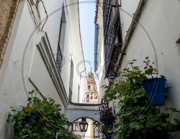 Spain, Cordoba, Low Angle View Of Potted Plants On Building