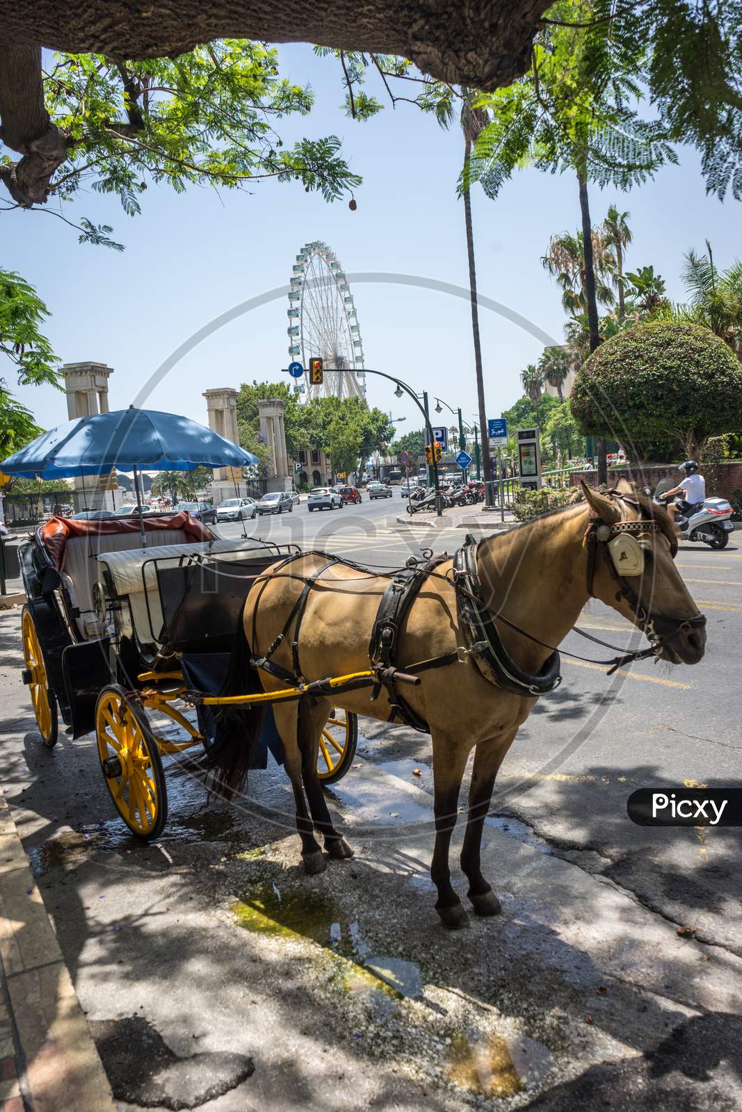 A Horse Drawn Carriage In Front Of A Giant Wheel At Malaga, Spain, Europe