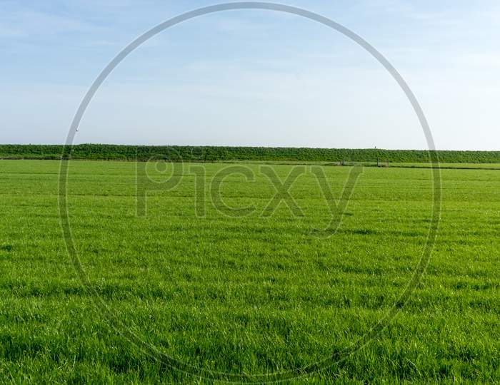 Netherlands,Wetlands,Maarken, Scenic View Of Agricultural Field Against Sky