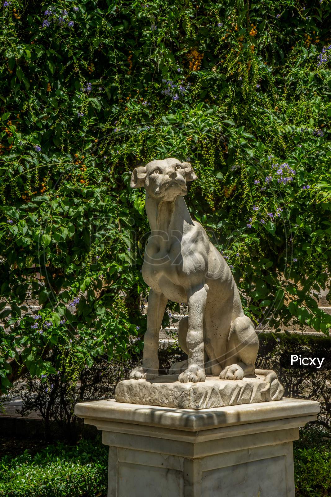 Seville, Spain- June 18, 2017 : A Statue Of A Dog Is Displayed In A Park In Seville, Spain June 2017.