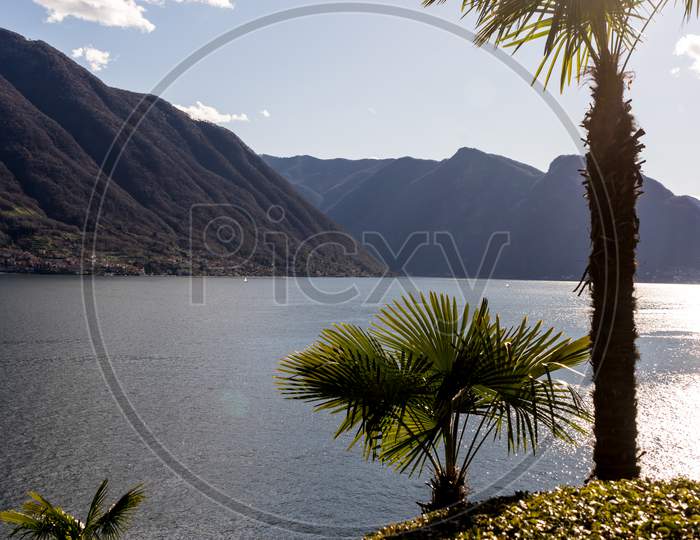 Italy, Lecco, Lake Como, A Body Of Water Surrounded By Palm Trees