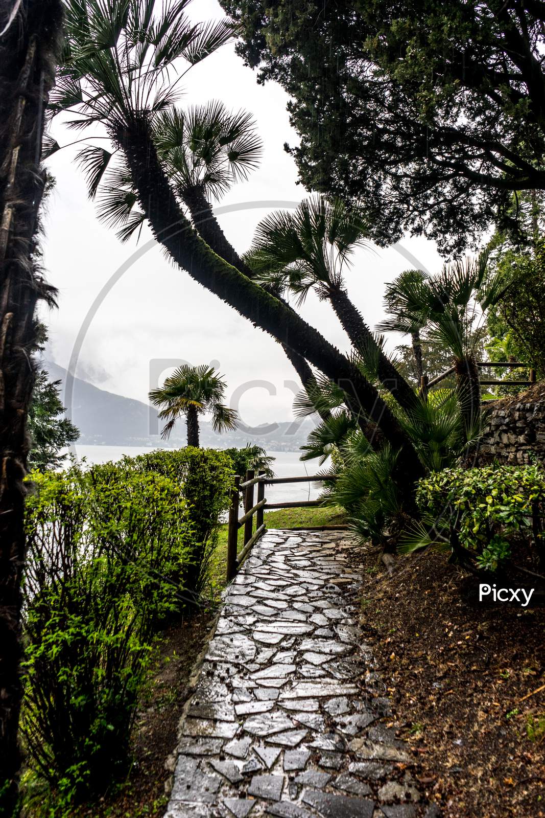 Italy, Varenna, Lake Como, Footpath Amidst Palm Trees Against Sky